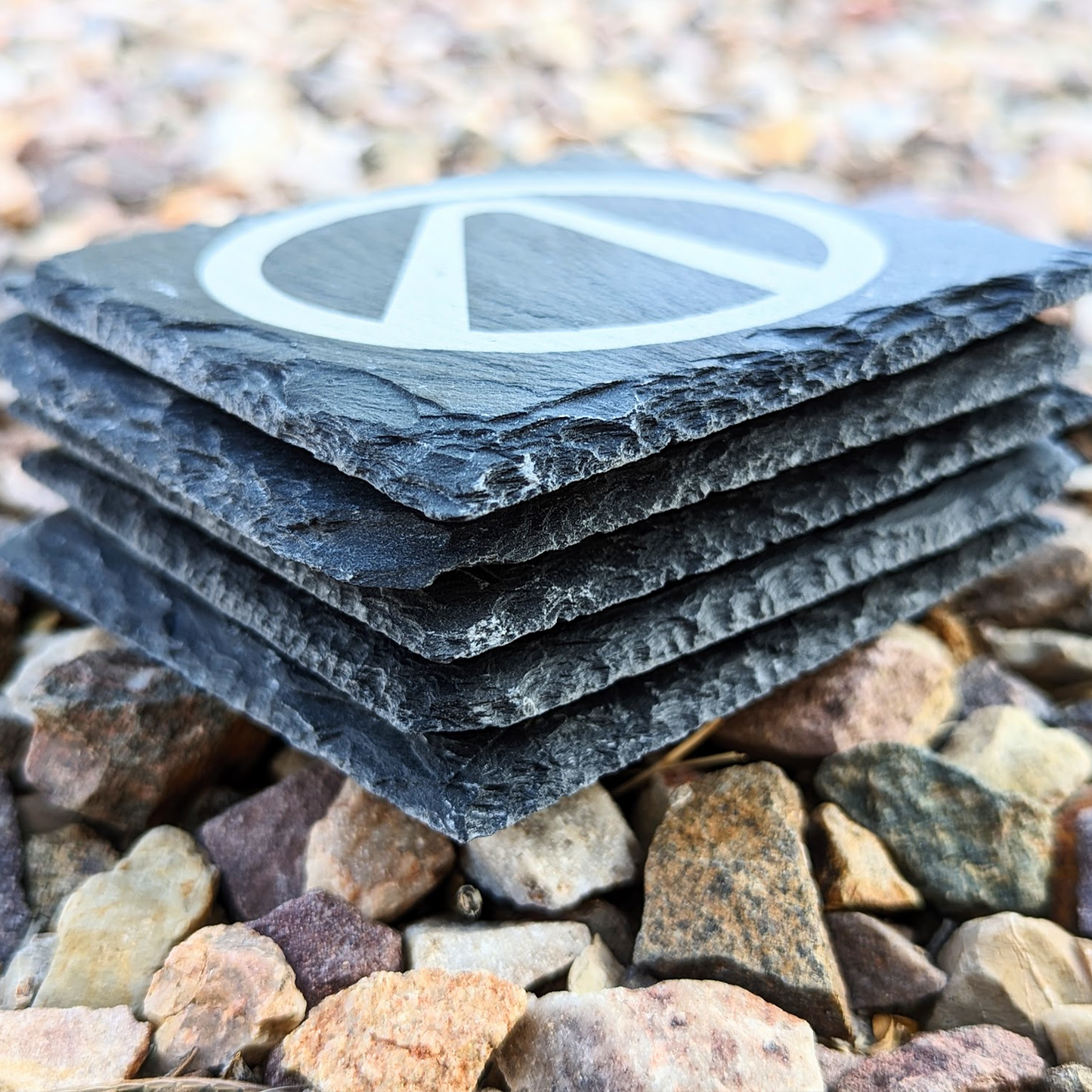 Borderlands Themed Slate Coasters